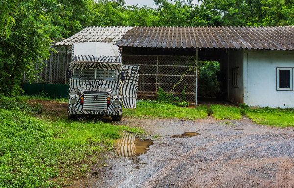 Safari Tour & Cultural Experience in Puerto Plata