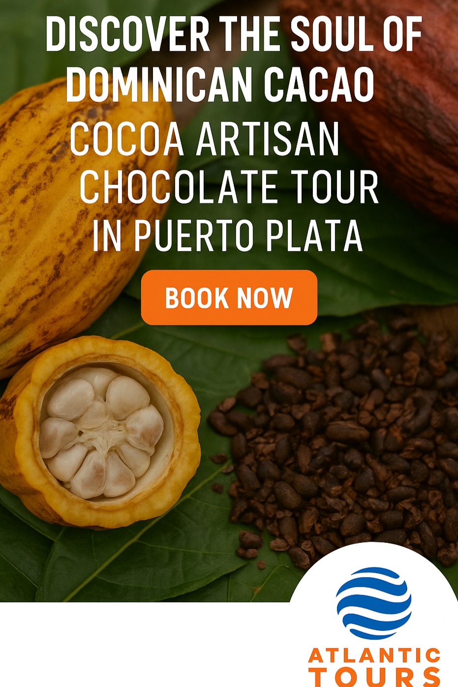 From Bean to Bliss: Discover the Cocoa Artisan Chocolate Tour in Puerto Plata